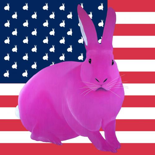 FLAG ROSE rabbit flag Showroom - Inkjet on plexi, limited editions, numbered and signed. Wildlife painting Art and decoration. Click to select an image, organise your own set, order from the painter on line